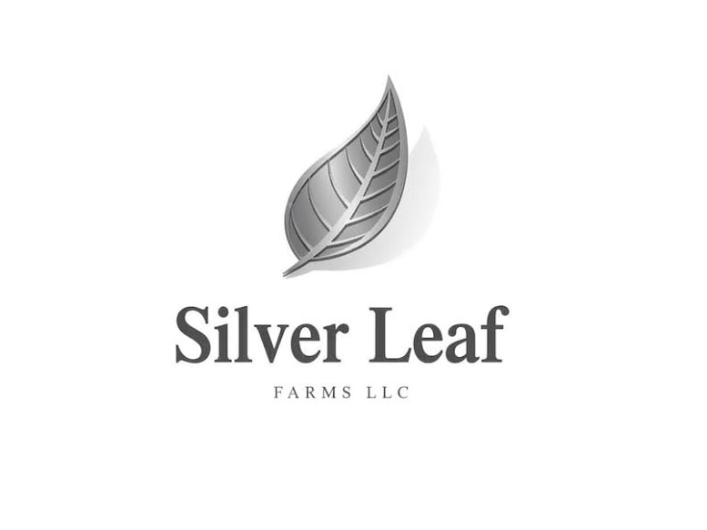 Silverleafe 